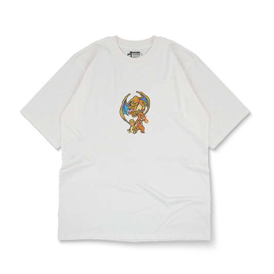 POKÉMON - Charmander Evolution
