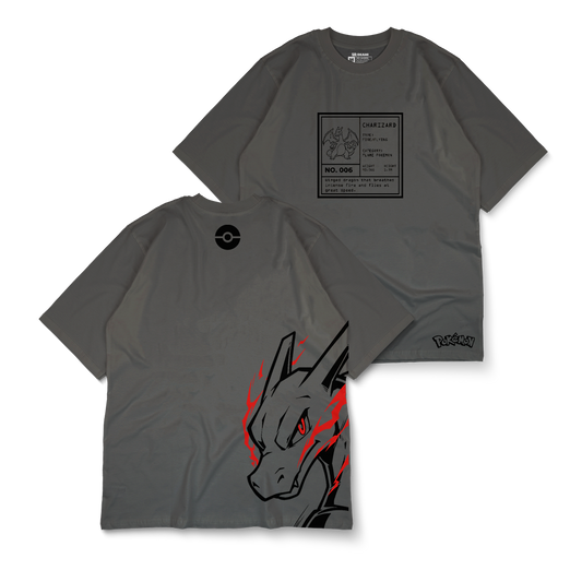 POKÉMON - Charizard