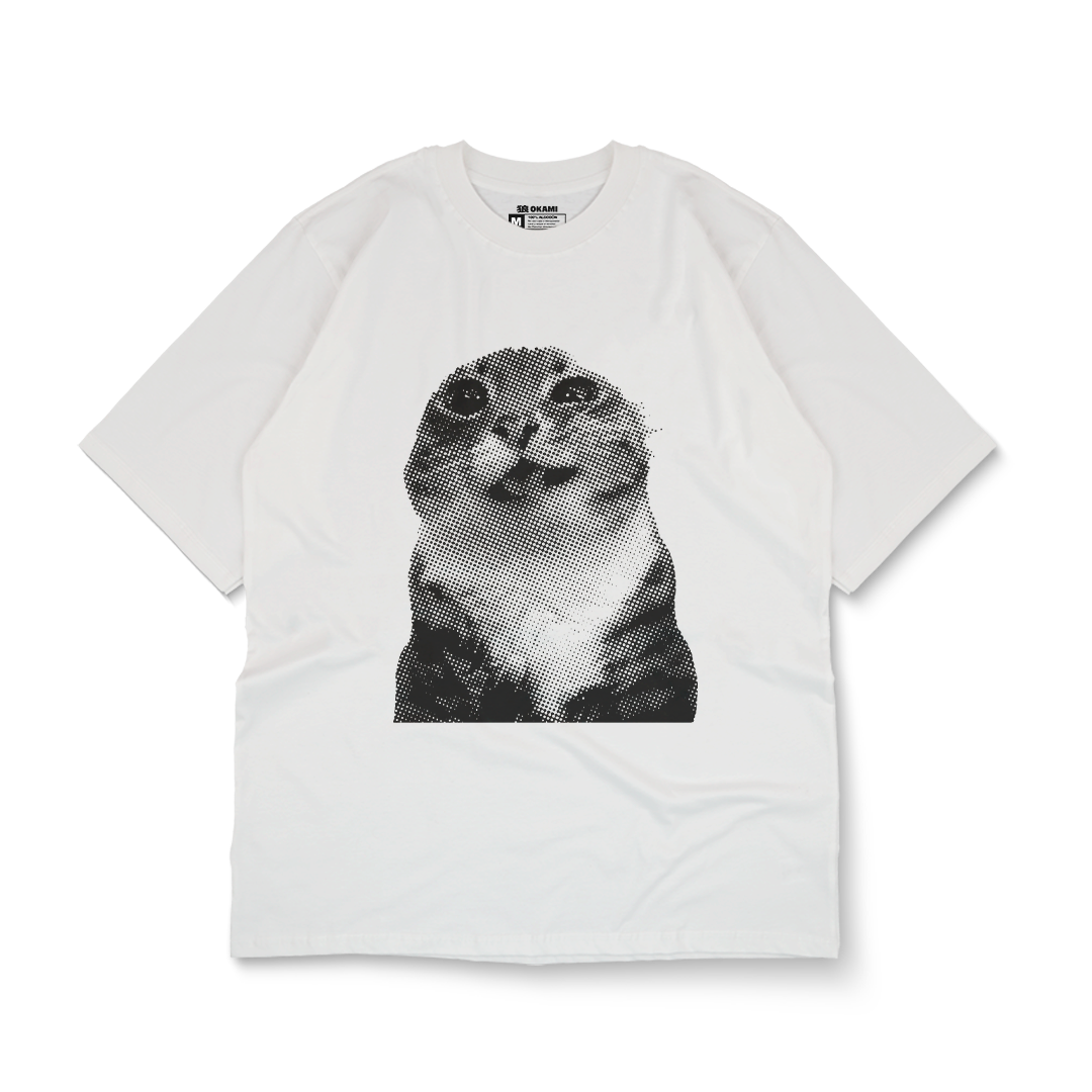 funny animals - insufferable cat