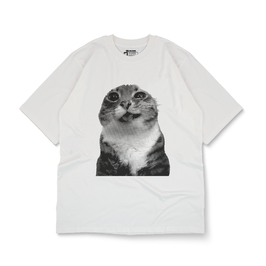 funny animals - insufferable cat