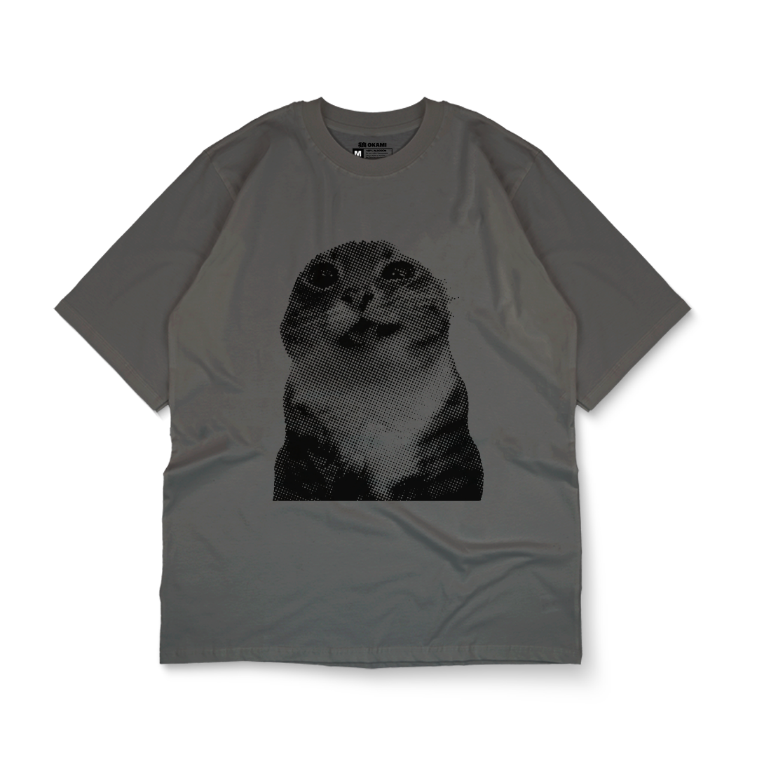 funny animals - insufferable cat