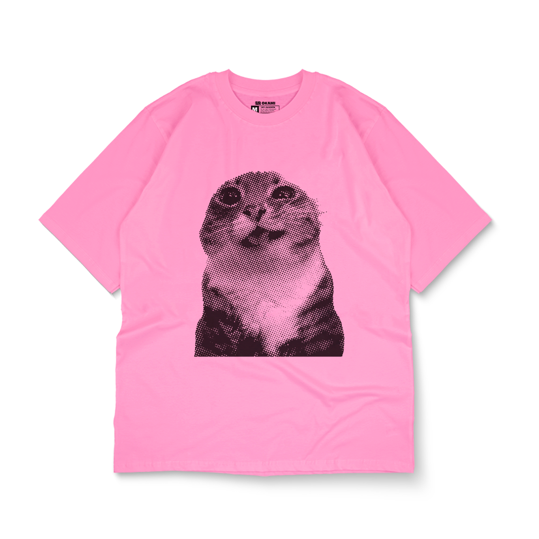 funny animals - insufferable cat